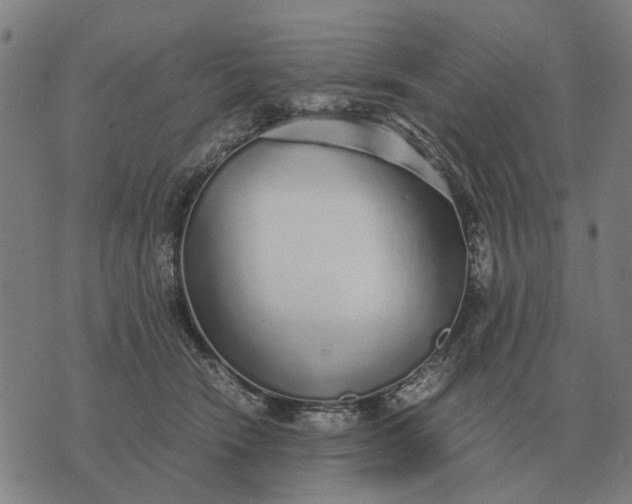 X0000076090466200610061645