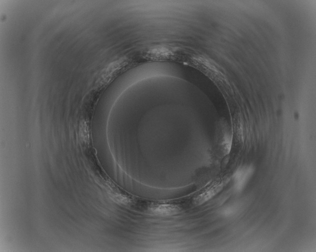 X0000076090467200610061645