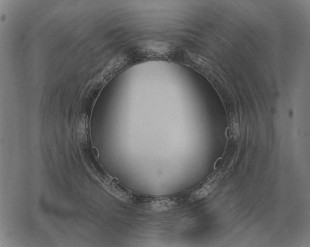 X0000076090468200610061645