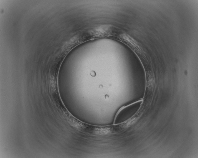 X0000076090469200610061645