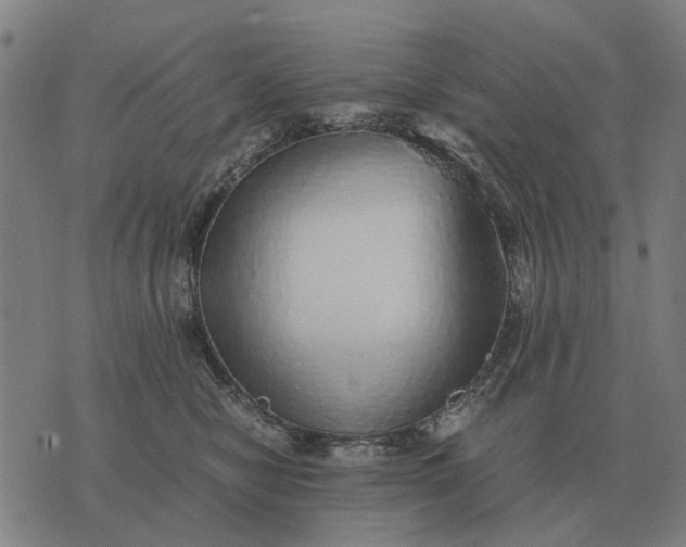 X0000076090470200610061645