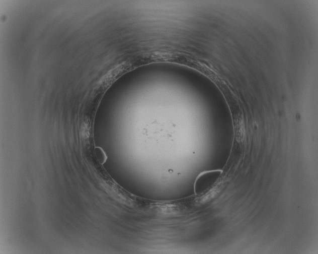 X0000076090472200610061645