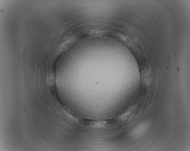 X0000076090474200610061645