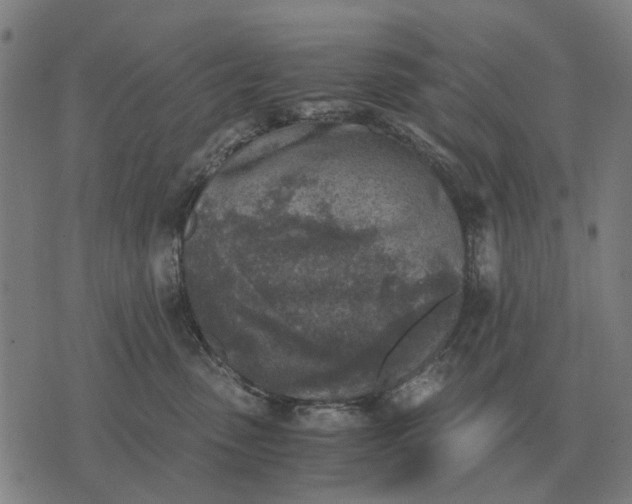 X0000076090475200610061645