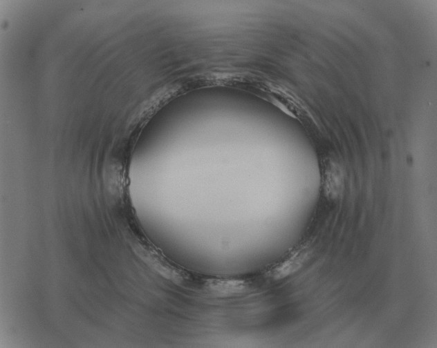 X0000076090476200610061645