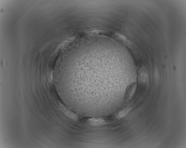 X0000076090477200610061646