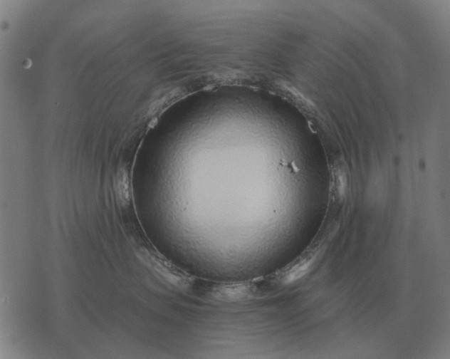 X0000076090479200610061646