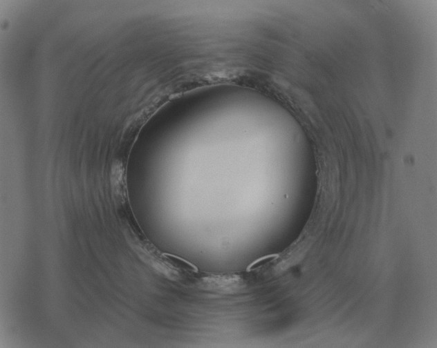 X0000076090480200610061646