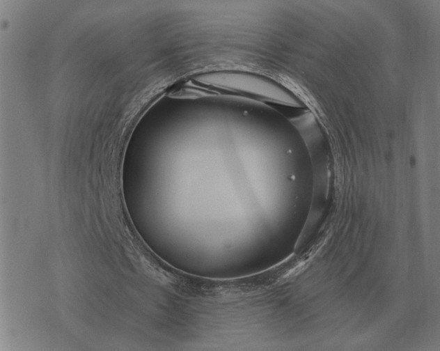 X0000076090481200610061645