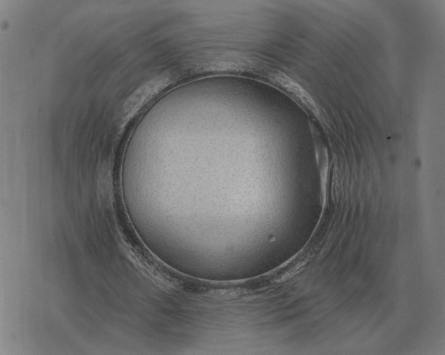 X0000076090482200610061645