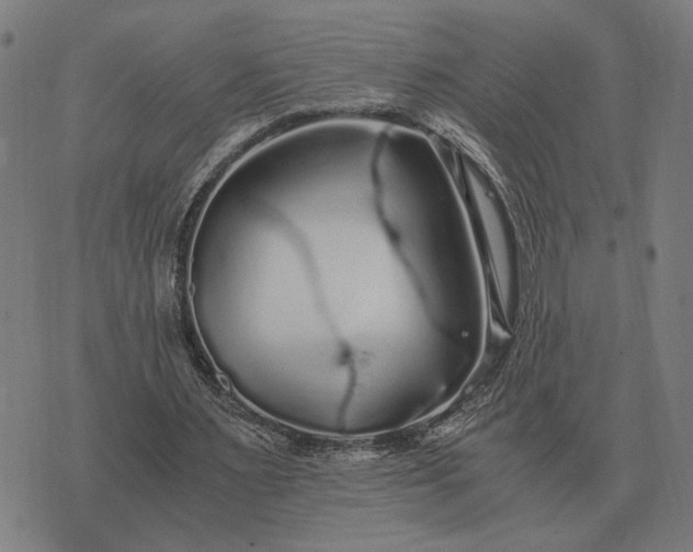 X0000076090483200610061645