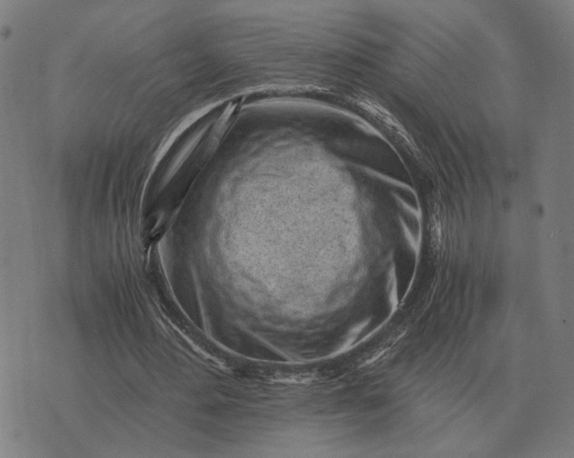 X0000076090484200610061645