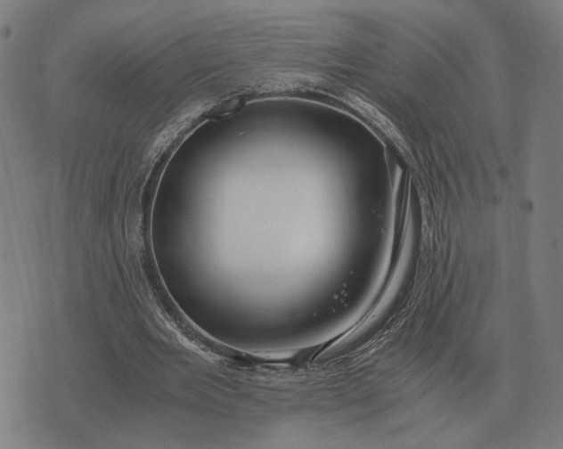 X0000076090485200610061645