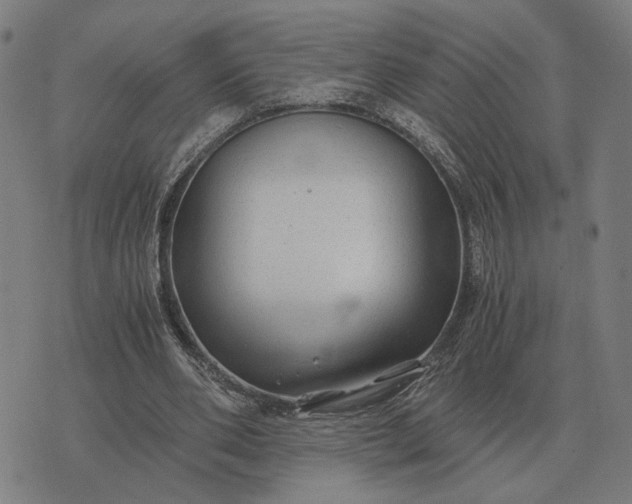 X0000076090486200610061645