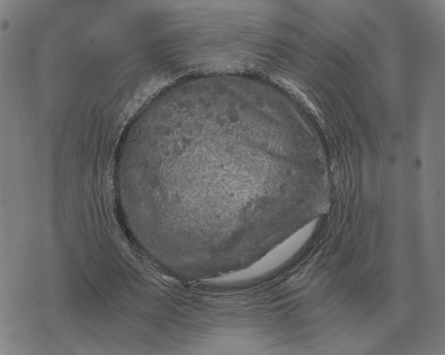 X0000076090487200610061645