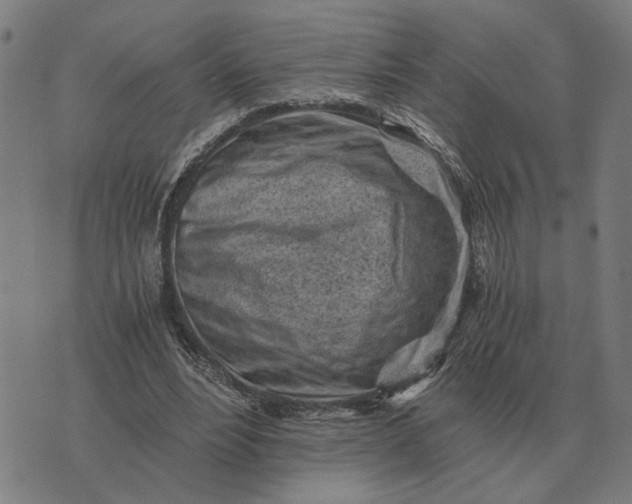 X0000076090488200610061645