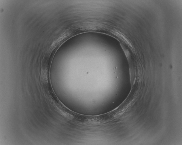 X0000076090489200610061645