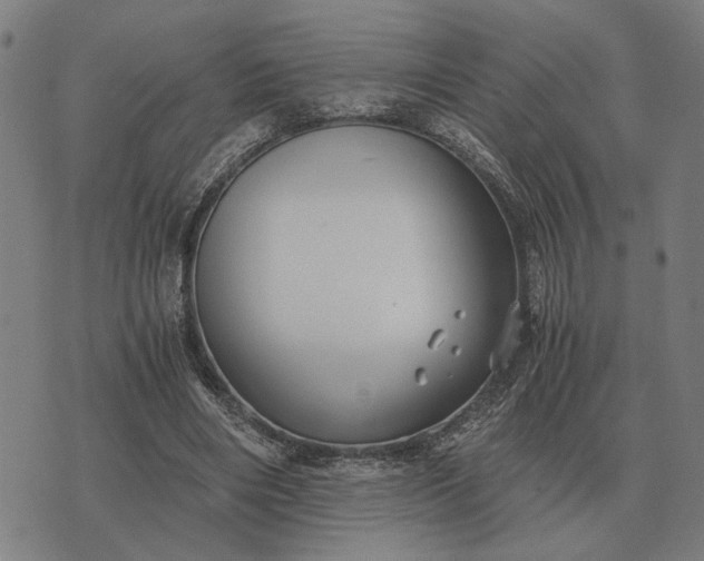 X0000076090490200610061645