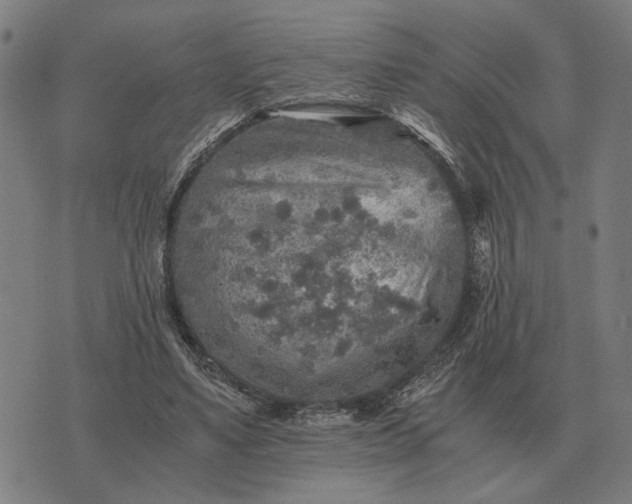 X0000076090491200610061645