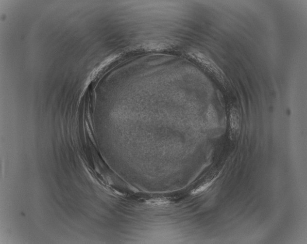 X0000076090492200610061645