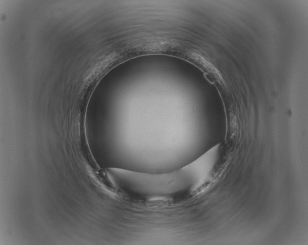 X0000076090493200610061645