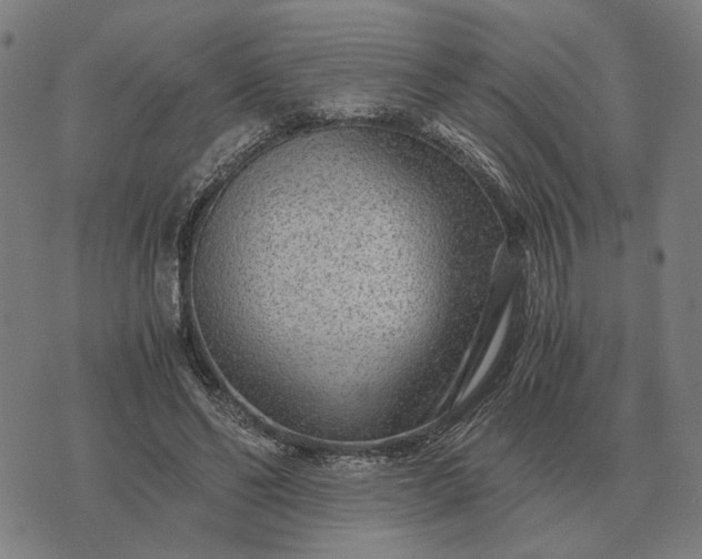 X0000076090494200610061645