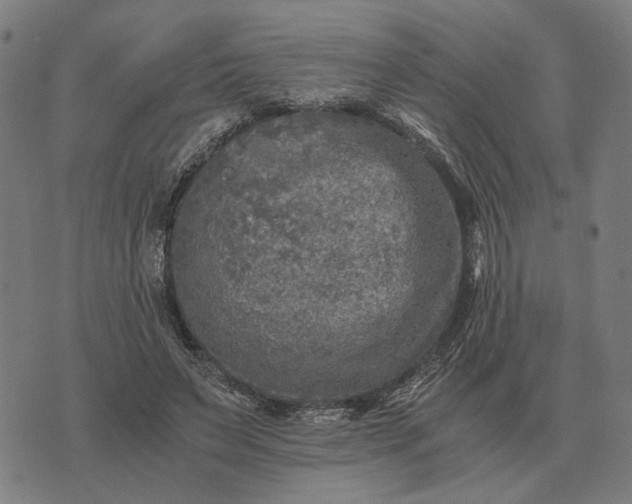 X0000076090495200610061645