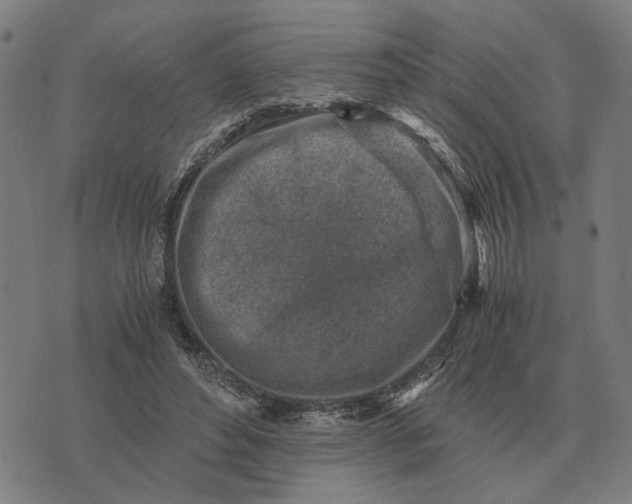 X0000076090496200610061645