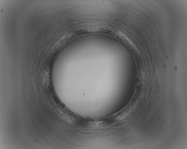 X0000076090497200610061645