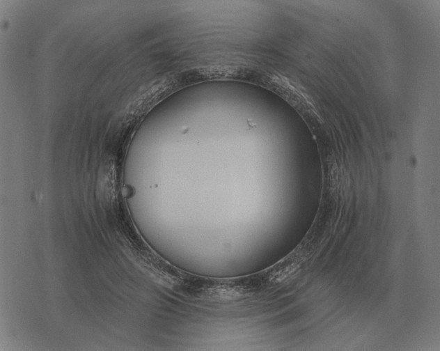 X0000076090498200610061645