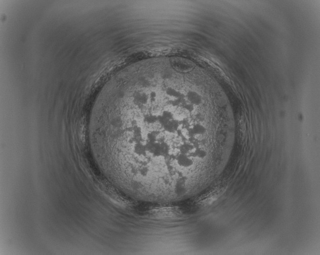 X0000076090499200610061644