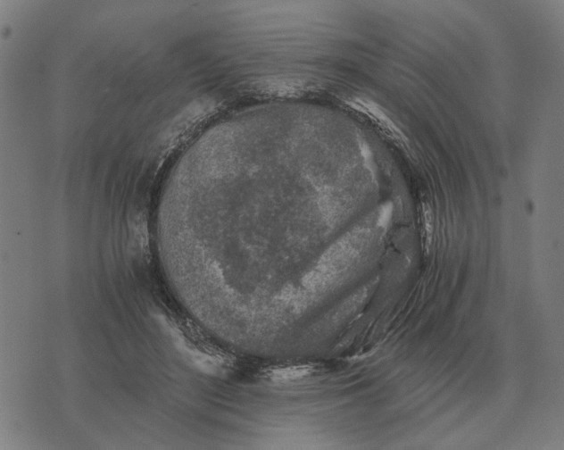 X0000076090500200610061644