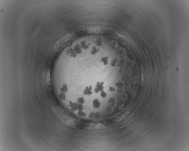 X0000076090502200610061644