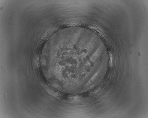 X0000076090503200610061644