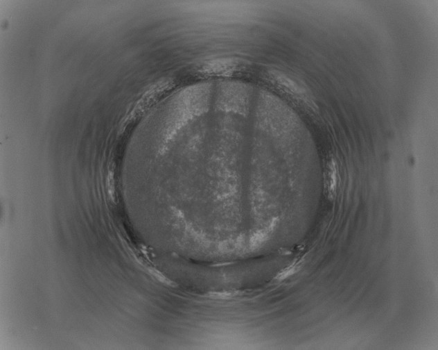 X0000076090504200610061644