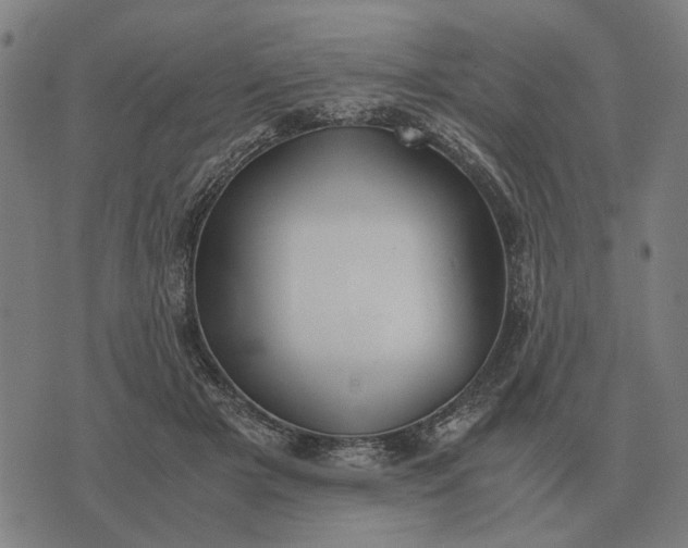 X0000076090505200610061644