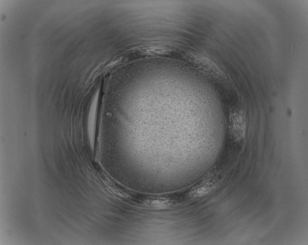 X0000076090506200610061644