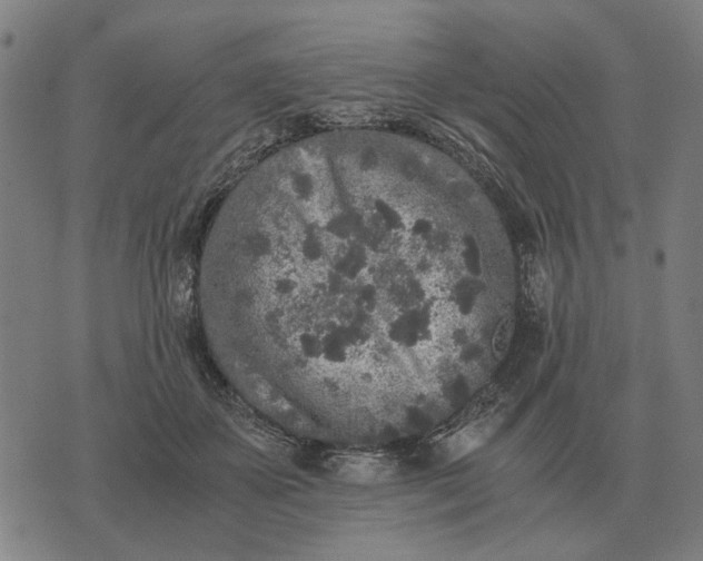 X0000076090507200610061644