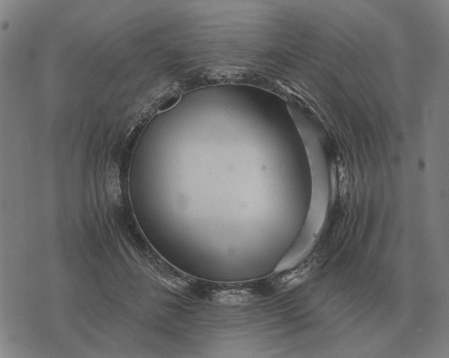 X0000076090508200610061644