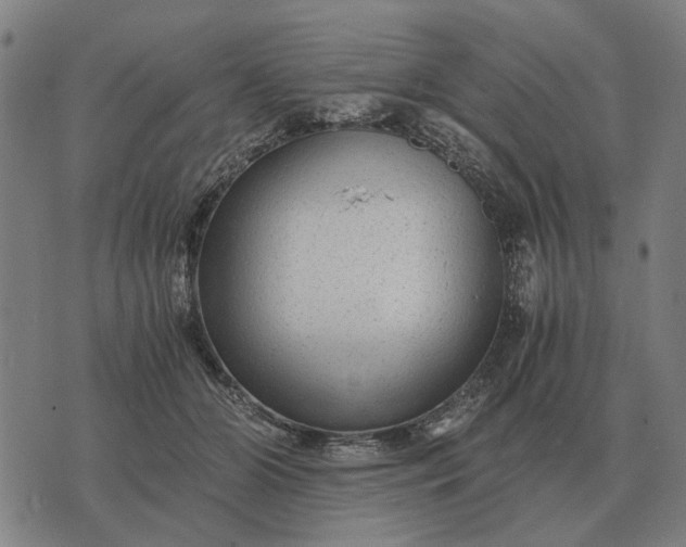 X0000076090510200610061644