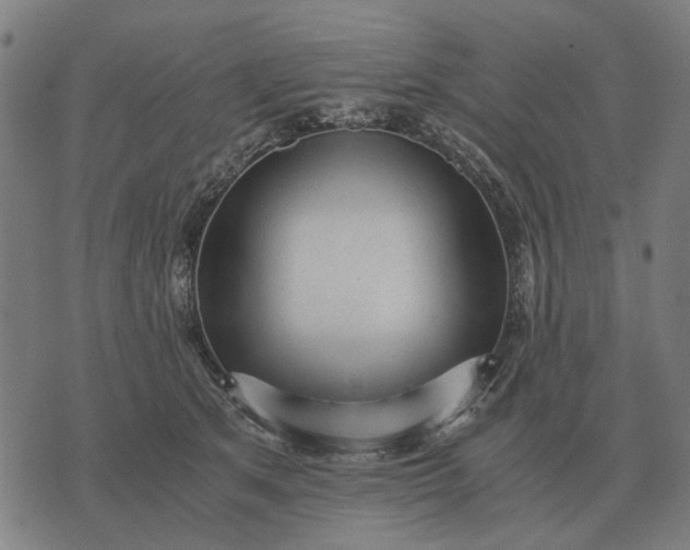 X0000076090513200610061644