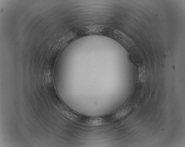 X0000076090514200610061644