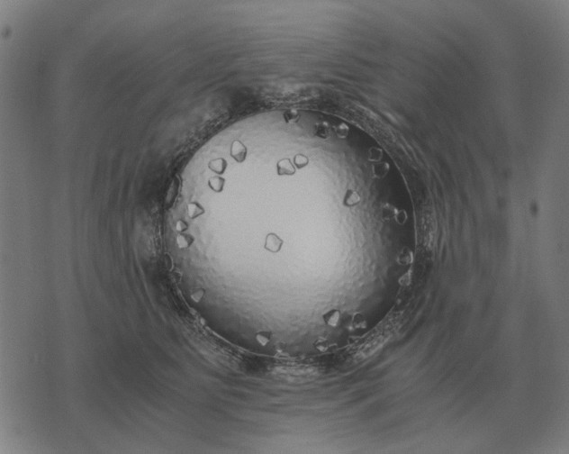 X0000076090515200610061644