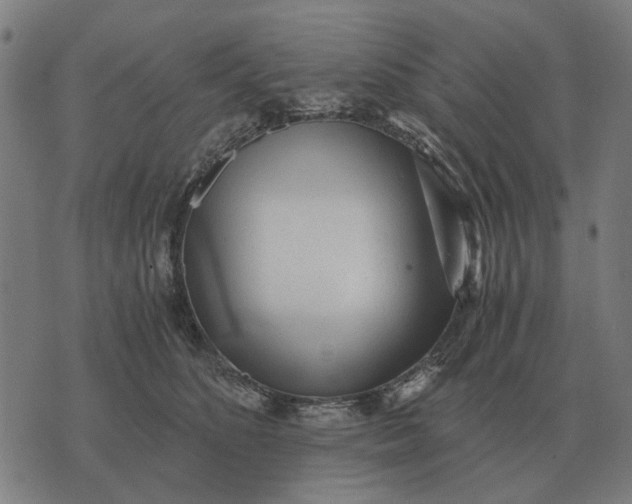 X0000076090516200610061644