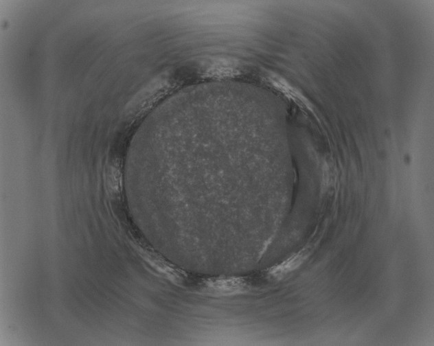 X0000076090517200610061644