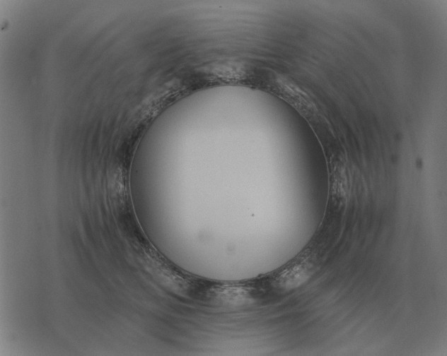 X0000076090518200610061644