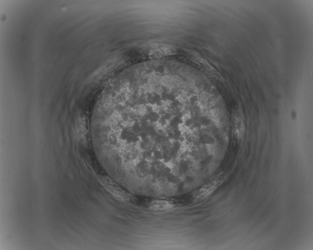 X0000076090519200610061644