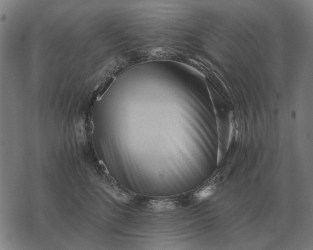 X0000076090520200610061644