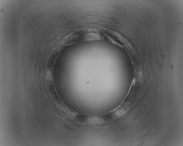 X0000076090521200610061644