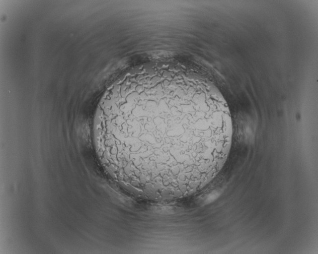 X0000076090523200610061644